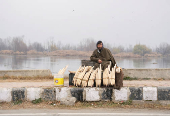 A Kashmiri man waits for customers as he sells lotus stems, locally known as ?Nadur?, along the bank of the Nigeen Lake in Srinagar