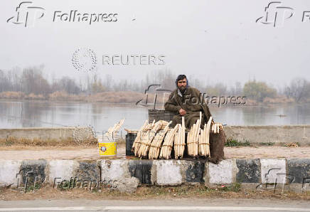 A Kashmiri man waits for customers as he sells lotus stems, locally known as ?Nadur?, along the bank of the Nigeen Lake in Srinagar