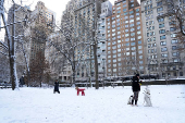 People walk their dogs in Central Park, in New York