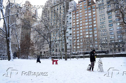 People walk their dogs in Central Park, in New York