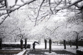 Ile-de-France en alerta naranja debido a la cada de nieve