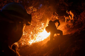 Wildfires in Los Angeles