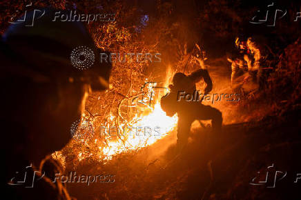 Wildfires in Los Angeles