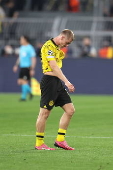 UEFA Champions League - Borussia Dortmund vs PSG