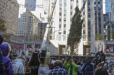 Rockefeller Christmas tree arrives to Rockefeller Center in New York