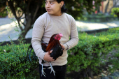 People bring their pets to be blessed on Saint Anthony's day, on the outskirts of Mexico City