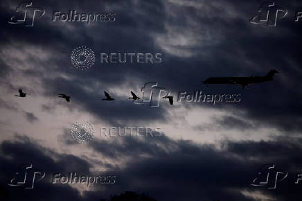 A Mitsubishi CRJ-701ER operated by American Eagle flies with geese in Washington