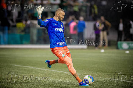 Campeonato Brasileiro Srie A1 - Palmeiras x Botafogo