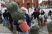 Christmas trees on sale in central Bialystok