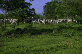 Propriedade rural no limite das cidade de So Jos dos Campos 