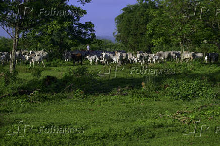 Propriedade rural no limite das cidade de So Jos dos Campos 