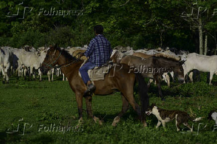 Propriedade rural no limite das cidade de So Jos dos Campos 