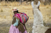 El director general de la FAO se empapa del 'suma qamaa', el vivir bien, en Bolivia