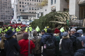 Rockefeller Christmas tree arrives to Rockefeller Center in New York