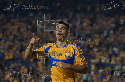 Liga MX: Tigres - Len