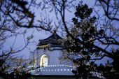 Chiang Kai-shek Memorial Hall stands as plum blossoms in Taipei