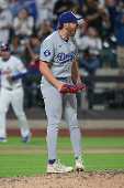 MLB: Game Two-Los Angeles Dodgers at New York Mets