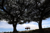 WRC Safari Rally Kenya - day 2