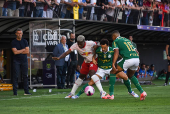 Red Bull Bragantino e Palmeiras