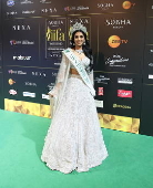 International Indian Film Academy Awards in Abu Dhabi - Green Carpet