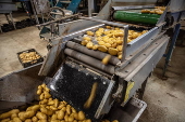 Potato farm near Paris prepares to supply vegetables to the athletes' village at the Paris 2024 Olympic Games