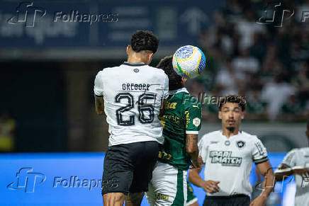 Partida entre palmeiras e botafogo pelo campeonato brasileiro de futebol 2024