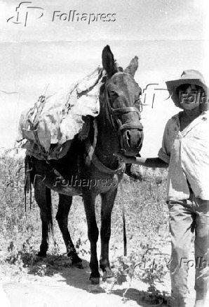 1959Vale do Rio So Francisco. (Sem