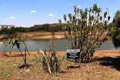 Vista da lagoa do Saibro, rea de recarga do Aqufero Guarani, em Ribeiro Preto