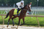 Horse Racing: 149th Preakness-Workouts