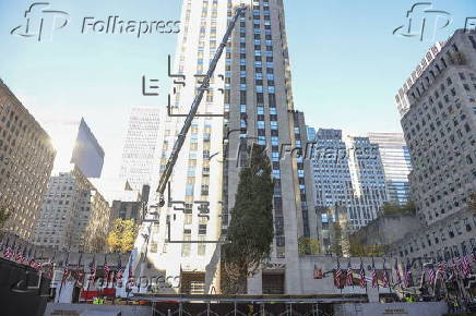 Rockefeller Christmas tree arrives to Rockefeller Center in New York