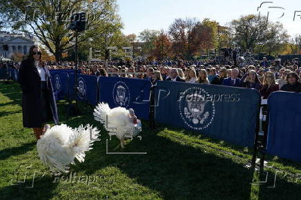 US President Biden pardons two turkeys on annual Thanksgiving tradition