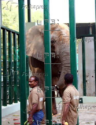 Relocation of Madhubala elephant from Karachi Zoo to Safari Park in Karachi