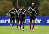 Copa Libertadores - Final - Botafogo Training