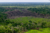 FILE PHOTO: A wooded area with deforestation is seen in the Serrania del Chiribiquete