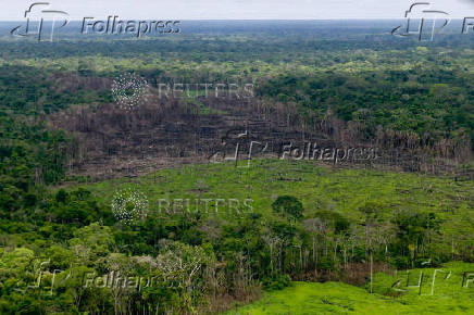 FILE PHOTO: A wooded area with deforestation is seen in the Serrania del Chiribiquete