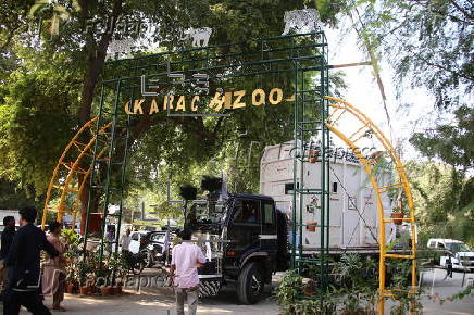 Relocation of Madhubala elephant from Karachi Zoo to Safari Park in Karachi