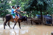 Inundaciones en la Amazona de Bolivia afectan a 2.000 familias y el agua potable escasea