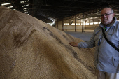 Agricultor de La Albufera: 