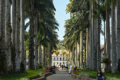 Rua das Palmeiras, no centro de Joinville, em Santa Catarina