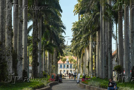 Rua das Palmeiras, no centro de Joinville, em Santa Catarina