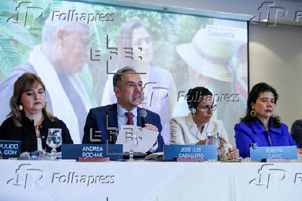 Comisin Interamericana de Derechos Humanos entrega un balance de su visita a Colombia