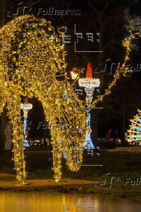 'Gardens of Light' Christmas illumination in Plock