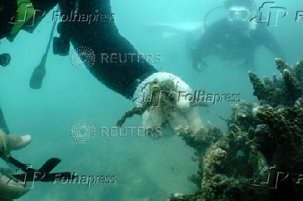 Scuba diver removes abandoned fishing nets covering a coral reef in Phuket