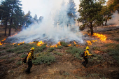 Cal Fire firefighters tackle the Bridge Fire threatening mountain communities, in Wrightwood