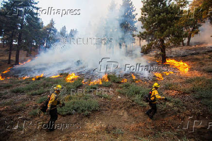 Cal Fire firefighters tackle the Bridge Fire threatening mountain communities, in Wrightwood