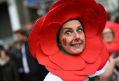 Autumn Internationals - England v Australia