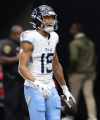 NFL: Tennessee Titans at Houston Texans