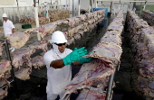 FILE PHOTO: A worker spreads salted meat which will be dried and then packed at a plant of JBS S.A, the world's largest beef producer, in Santana de Parnaiba