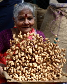 Annual groundnut fair in Bangalore