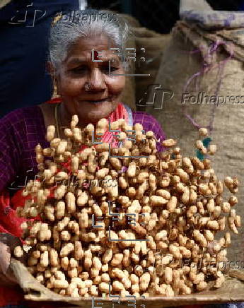 Annual groundnut fair in Bangalore